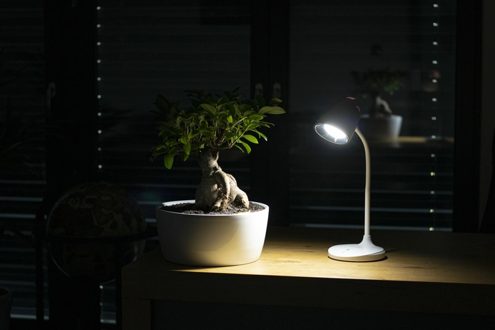 Lampa biurkowa Montis MT044 (OSWMNSLAN0001) - obraz 5