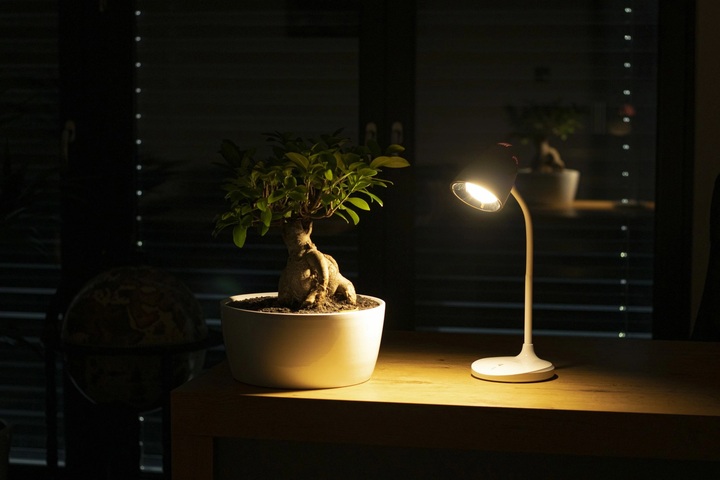 Lampa biurkowa Montis MT044 (OSWMNSLAN0001) - obraz 7