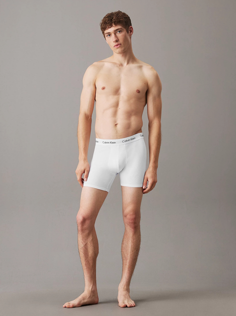 Zestaw majtek męskich typu bokserki Calvin Klein Underwear 000NB1770A-MP1 M 3 szt Czarny/Biały/Szary (8719115052751) - obraz 8