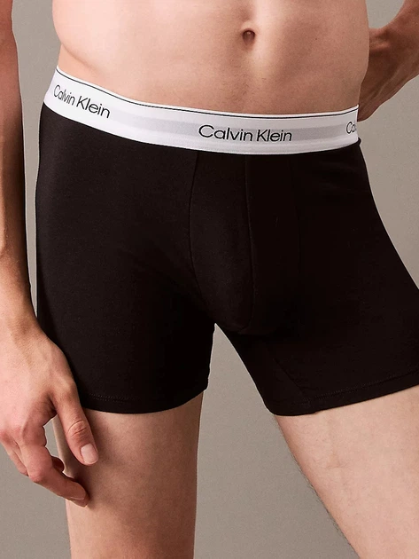 Набір трусів-боксерів чоловічих Calvin Klein Underwear 000NB3964A-MP1 XL 3 шт Сірий/Білий/Чорний (8720639723362) - зображення 4