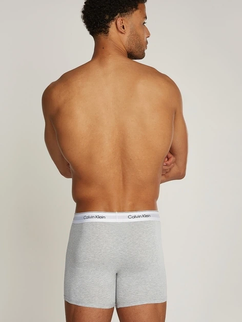 Набір трусів-боксерів чоловічих Calvin Klein Underwear 000NB3964A-MP1 XL 3 шт Сірий/Білий/Чорний (8720639723362) - зображення 7