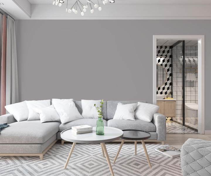 Фарба інтер'єрна латексна SkyLine RAL 7036 5 л Платиново-сіра (KINTERLAT-S-5-R149) - зображення 1