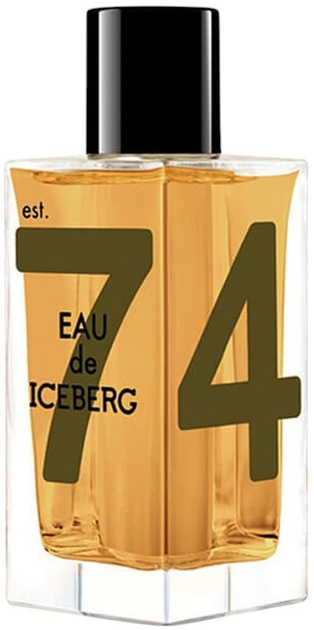 Туалетна вода для чоловіків Iceberg Eau de Iceberg Amber 100 мл (8002135146600) - зображення 1