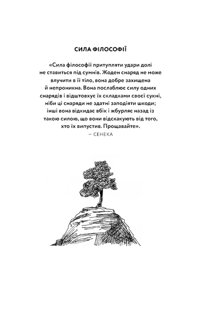 Маленька книга стоїцизму. Йонас Зальцґебер (9786175482360) - зображення 3