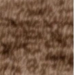 Олівець для Брів Bourjois Brow Reveal Precision 04 1.4 Г Dark Brunette - зображення 2