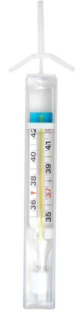 Термометр Gamma Thermo Zoom (6954941810126) - зображення 1