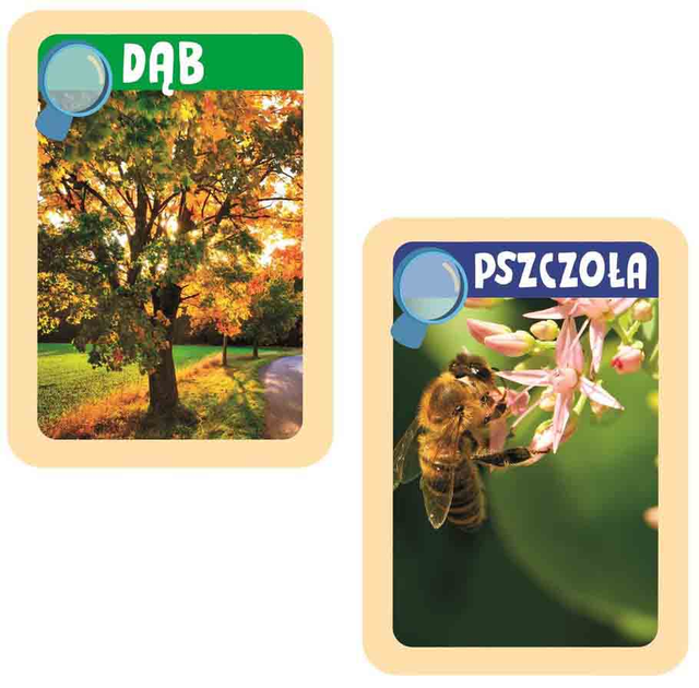 Zestaw doświadczalny Clementoni Naukowa Zabawa Labo Junior Discovery (8005125508945) - obraz 4