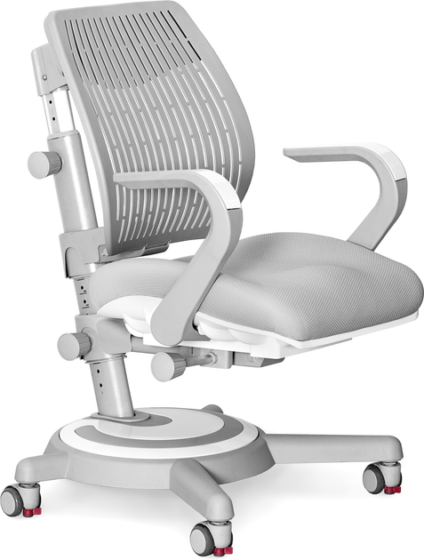 Дитяче крісло Mealux Ergoback G (Y-1020 G) від Rozetka на платформі USKIDKA Акція на Дитяче крісло Mealux Ergoback G (Y-1020 G) від Rozetka