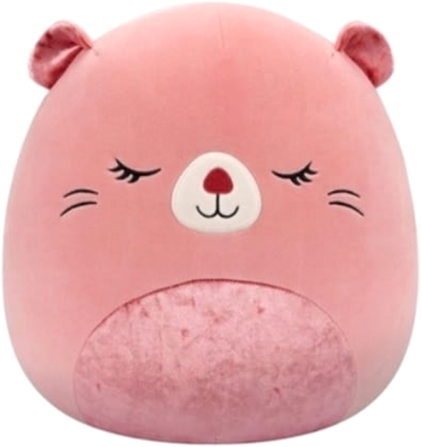 Maskotka Squishmallows SpecialB Darlene Bóbr 55856 30 cm (196566455856) - obraz 1