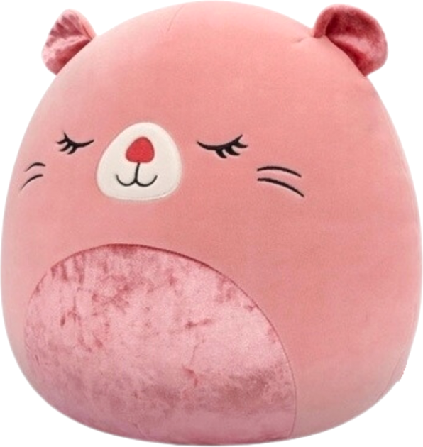 Maskotka Squishmallows SpecialB Darlene Bóbr 55856 30 cm (196566455856) - obraz 2