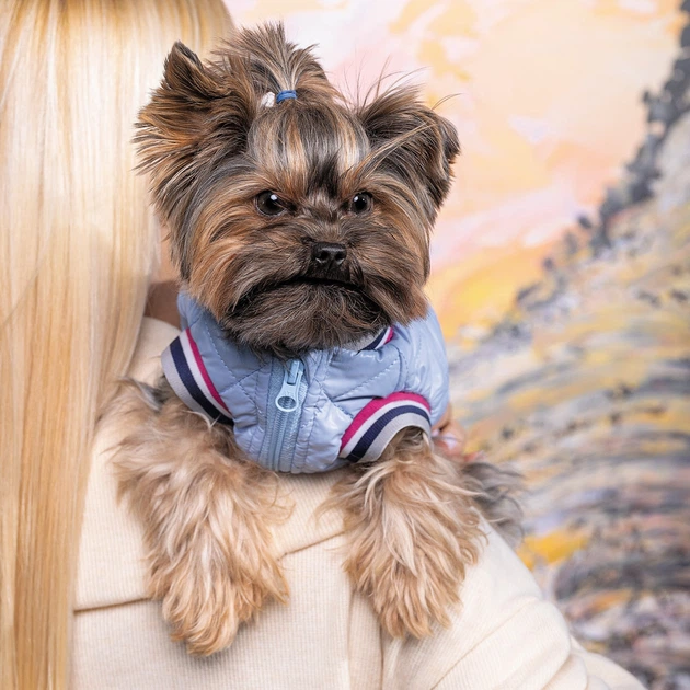 Бомбер для собак Pet Fashion «Spike» XS - изображение 7