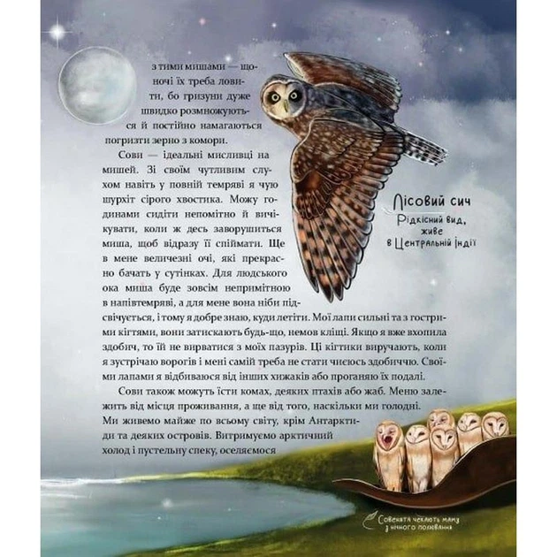Дитяча книга "Такі, як ми. Про тварин та їх характери" 253615 - Фото 4 Дитяча книга "Такі, як ми. Про тварин та їх характери" 253615 - зображення 4