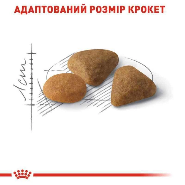 Сухий корм Royal Canin Savour Exigent (Fussy) - для котів, вибагливих до смаку корму, 4 кг (2531040) - Фото 5 Сухий корм Royal Canin Savour Exigent (Fussy) - для котів, вибагливих до смаку корму, 4 кг (2531040) - зображення 5