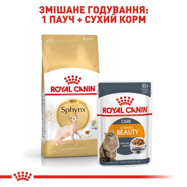 Сухий корм Royal Canin Sphynx Adult - для дорослих кішок породи Сфінкс від 12 місяців, 10 кг (2556100) - Фото 7 Сухий корм Royal Canin Sphynx Adult - для дорослих кішок породи Сфінкс від 12 місяців, 10 кг (2556100) - зображення 7