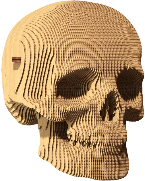 3D пазл-конструктор Cartonic 3D Puzzle Skull Картонный (CARTSKUL) - Фото 3 3D пазл-конструктор Cartonic 3D Puzzle Skull Картонный (CARTSKUL) - изображение 3