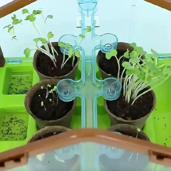 Набор для опытов домашняя теплица Home made plant Игровой набор теплица для выращивания растений с семенами - Фото 8 Набор для опытов домашняя теплица Home made plant Игровой набор теплица для выращивания растений с семенами - изображение 8