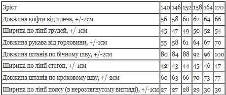 Дитячий костюм для хлопчика-підлітка Носи своє 164 Графітовий (p-16281-250711) - Фото 9 Дитячий костюм для хлопчика-підлітка Носи своє 164 Графітовий (p-16281-250711) - зображення 9