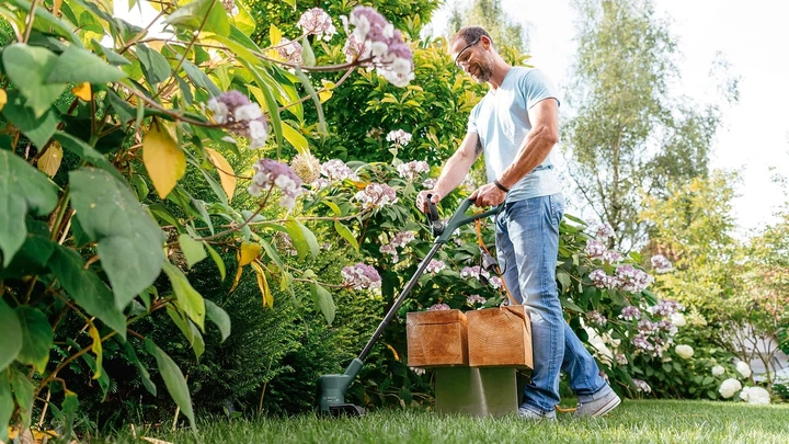 Тример мережевий BOSCH EasyGrassCut (0.600.8C1.H01) - Фото 10 Тример мережевий BOSCH EasyGrassCut (0.600.8C1.H01) - зображення 10
