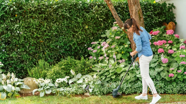 Тример мережевий BOSCH EasyGrassCut (0.600.8C1.H01) - Фото 12 Тример мережевий BOSCH EasyGrassCut (0.600.8C1.H01) - зображення 12