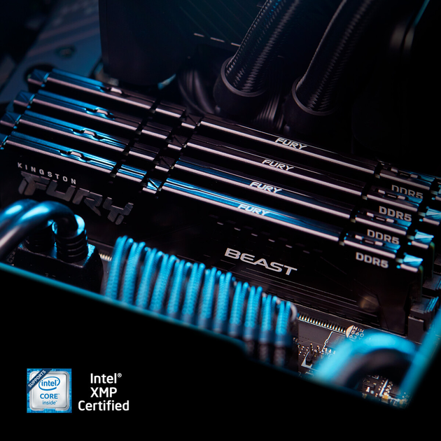 Оперативна пам'ять Kingston Fury DDR5-6000 16384MB PC5-48000 Beast Black (KF560C36BBE2-16) - зображення 10