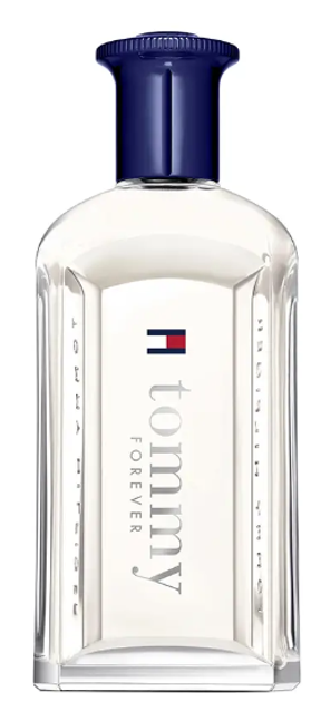 Woda toaletowa męska Tommy Hilfiger Tommy Forever 100 ml (7640496671976) - obraz 1