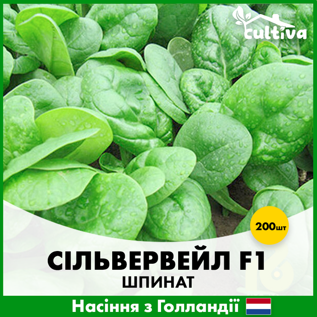Шпинат Rijk Zwaan Сільвервейл F1, 200 шт - зображення 2