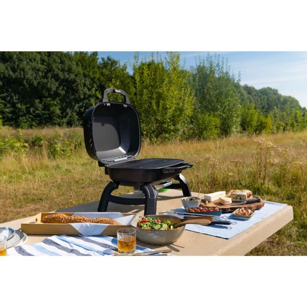 Портативный газовый гриль Napoleon TravelQ 240 TQ240-BK - Фото 5 Портативный газовый гриль Napoleon TravelQ 240 TQ240-BK - изображение 5