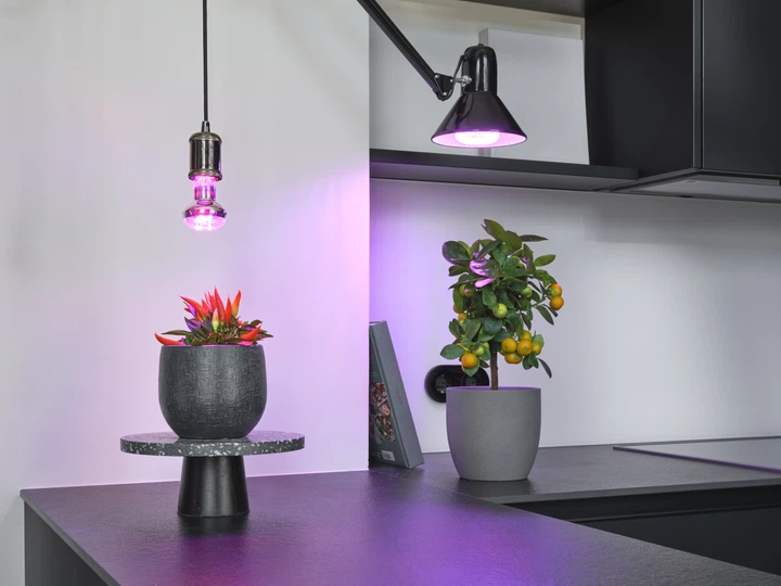 Светодиодная фитолампа OSRAM T80 20W 650Lm E27 (4058075845800) - изображение 9