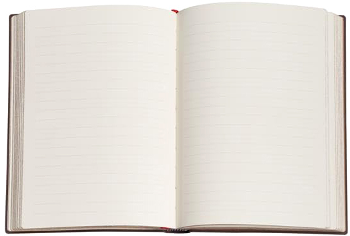 Блокнот Paperblanks Wild Thistle Mini Flexi з лініями 9 х 14 см 208 аркушів (9781439794104) - зображення 3