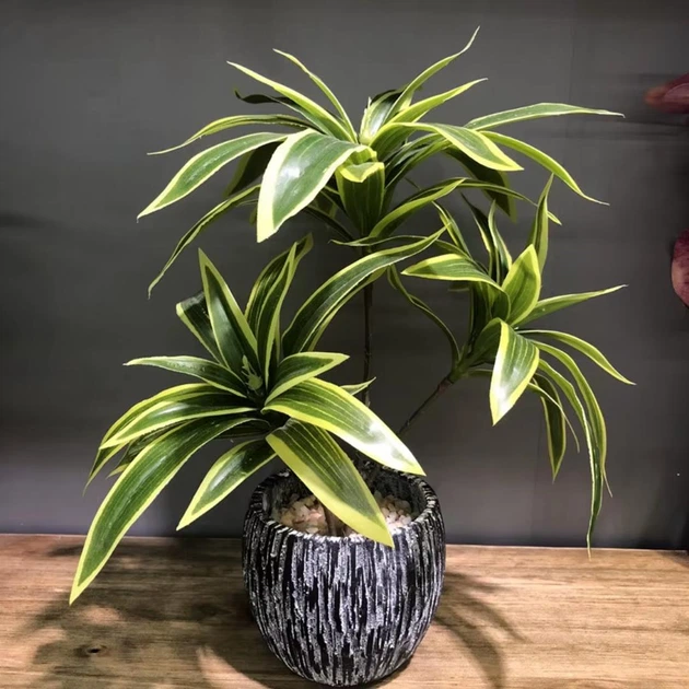 Декоративна штучна квітка - драцена Dracaena тропічна пальма - рослина для декору будинку / саду / офісу, 3 гілки, 36 см, зелена (99938310) - Фото 1 Декоративна штучна квітка - драцена Dracaena тропічна пальма - рослина для декору будинку / саду / офісу, 3 гілки, 36 см, зелена (99938310) - зображення 1