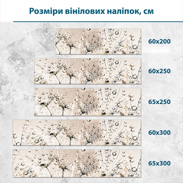 Наклейка на кухонный фартук 65 х 250 см, фотопечать с защитной ламинацией, паутинка из одуванчиков с каплями(БП-13-fl4834) - изображение 2