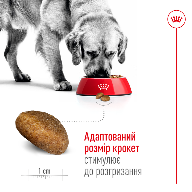 Корм для дорослих собак великих порід ROYAL CANIN MAXI ADULT 15,0 кг (30071500) - Фото 4 Корм для дорослих собак великих порід ROYAL CANIN MAXI ADULT 15,0 кг (30071500) - изображение 4