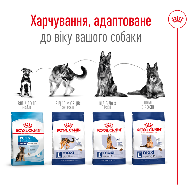 Корм для дорослих собак великих порід ROYAL CANIN MAXI ADULT 15,0 кг (30071500) - Фото 5 Корм для дорослих собак великих порід ROYAL CANIN MAXI ADULT 15,0 кг (30071500) - изображение 5