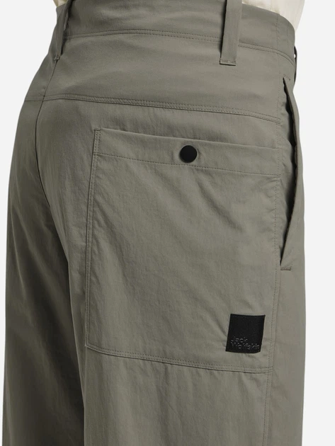 Штаны мужские Jack Wolfskin Desert Pants M 1508331-4030 48 Бежевые ...