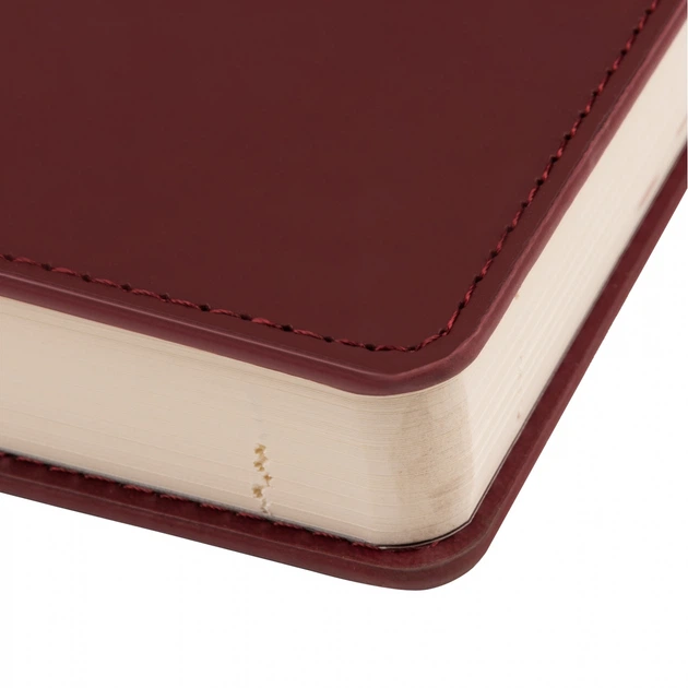 Щоденник Leo Planner А5 датований 2024 Destiny коричневий (252436) - Фото 4 Щоденник Leo Planner А5 датований 2024 Destiny коричневий (252436) - изображение 4