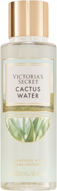 Spray do ciała Victoria`s Secret Cactus Water 250 ml (667555248396) - obraz 1