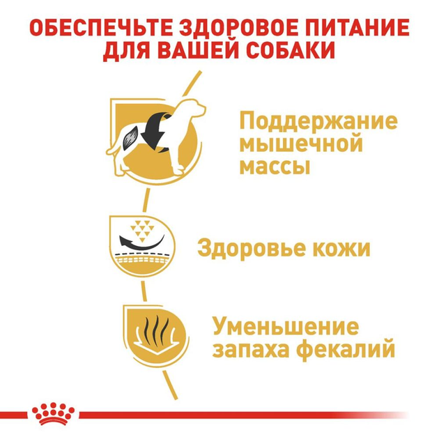 Сухой корм для собак Royal Canin Bulldog Adult для породы Английский бульдог от 12 месяцев 12 кг - изображение 4