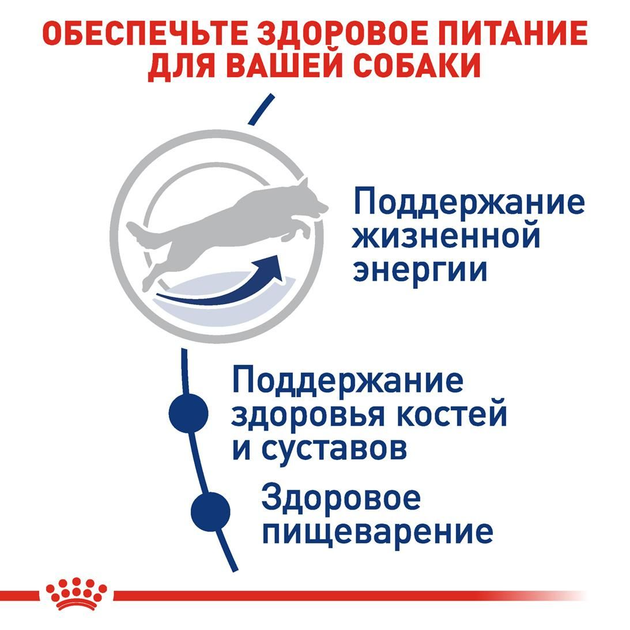 Сухой корм для собак Royal Canin Maxi Adult для крупных пород больше 26 кг от 15 месяцев 15 кг - Фото 3 Сухой корм для собак Royal Canin Maxi Adult для крупных пород больше 26 кг от 15 месяцев 15 кг - изображение 3