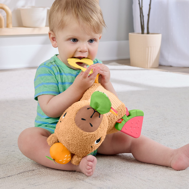 Розвиваюча м'яка іграшка Fisher-Price Капібара (HYR54) (0194735254262) - зображення 5