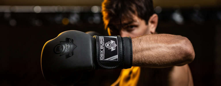 Боксерські рукавички Bushido B-2v12 розмір 8 oz Black (5902539018417) - зображення 10