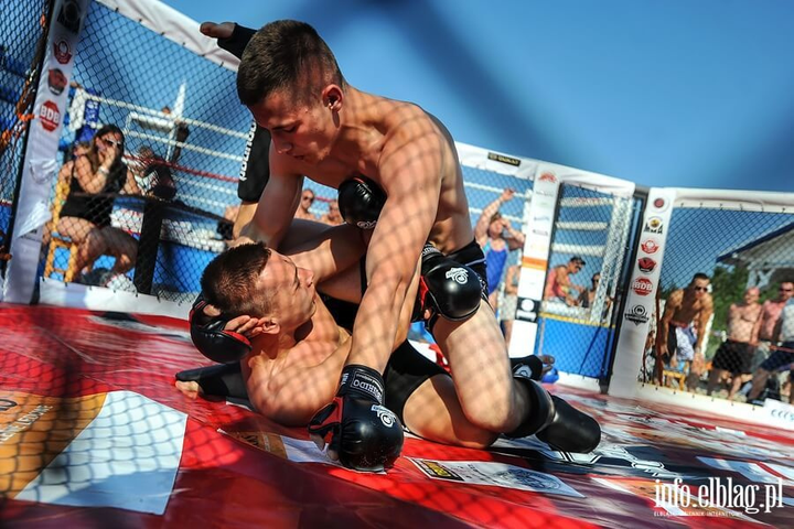 Рукавички ММА Bushido ARM-2011 розмір S/M Black/Red (5902539011401) - зображення 11