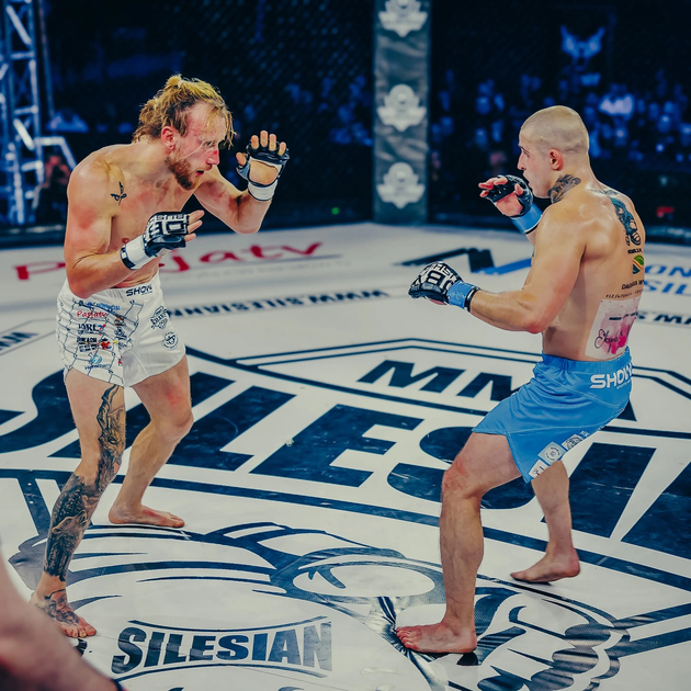 Rękawice MMA Bushido ARM-2023 rozmiar L (5902539016024) - obraz 15