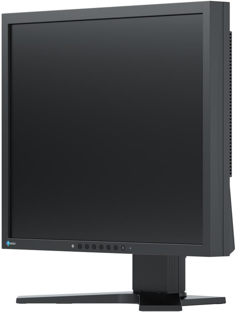 Monitor 19" EIZO FlexScan S1934H-BK - obraz 2