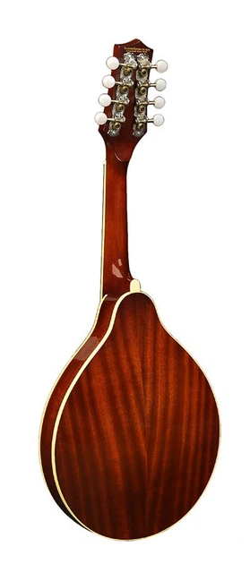 Мандоліна Richwood RMA-60-VS - изображение 2