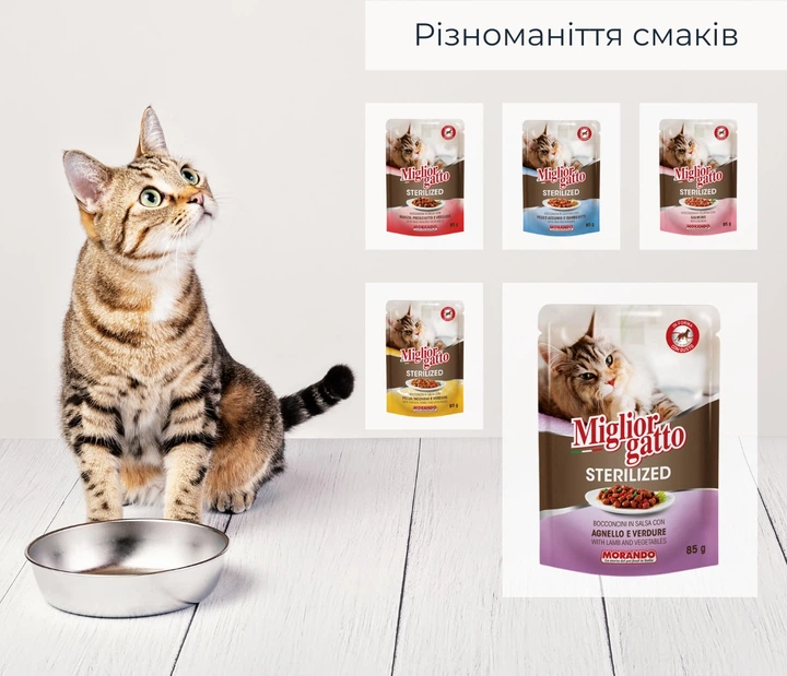 Упаковка беззернових консерв для стерилізованих котів Morando Migliorgatto Sterilized ягня з овочами шматочки в соусі 85 г x 4 шт (8007520414724) - зображення 7