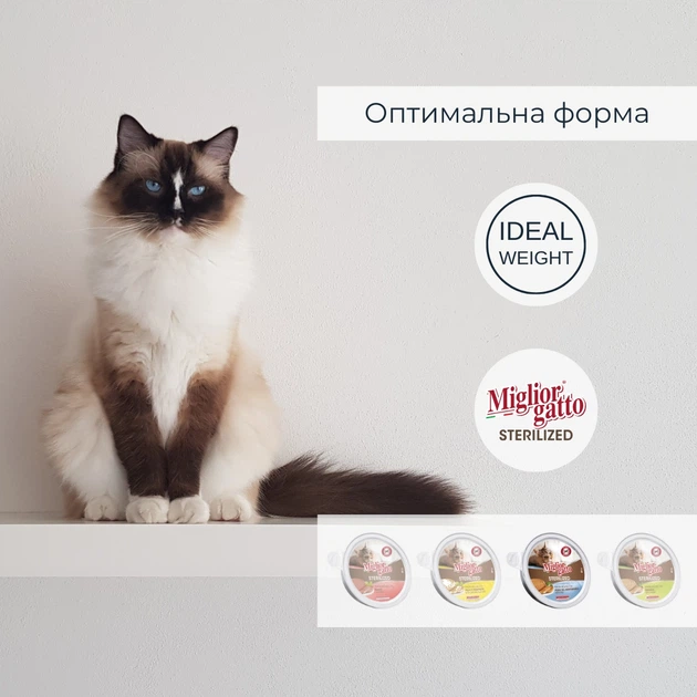 Упаковка беззернових консерв для стерилізованих котів Morando Migliorgatto Sterilized мус зі середземноморською рибою 85 г x 4 шт (8007520414625) - Фото 4 Упаковка беззернових консерв для стерилізованих котів Morando Migliorgatto Sterilized мус зі середземноморською рибою 85 г x 4 шт (8007520414625) - зображення 4