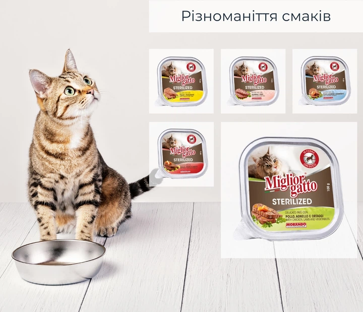 Упаковка беззерновых консервов для стерилизованных кошек Morando Migliorgatto Sterilized с курицей ягненком и овощами 100 г x 4 шт (8007520414526) - изображение 7