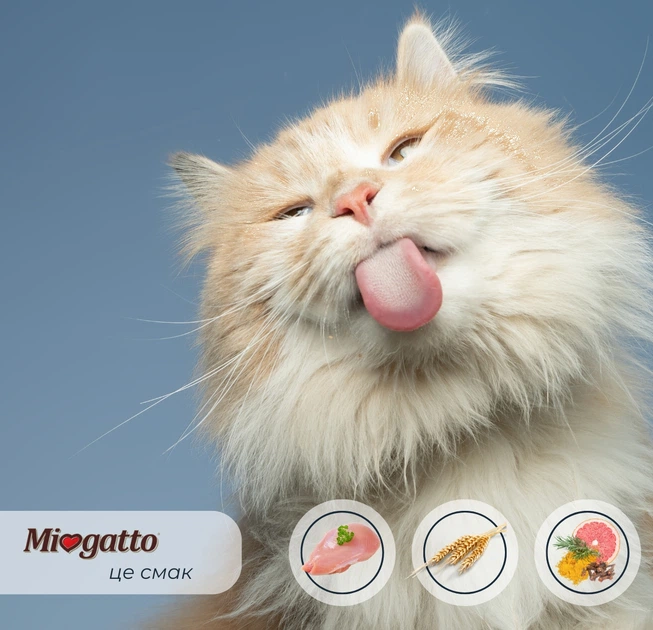 Монопротеїновий сухий корм для кішок Morando MioGatto Sensitive Monoprotein індичка 400 г (8007520086387) - зображення 3