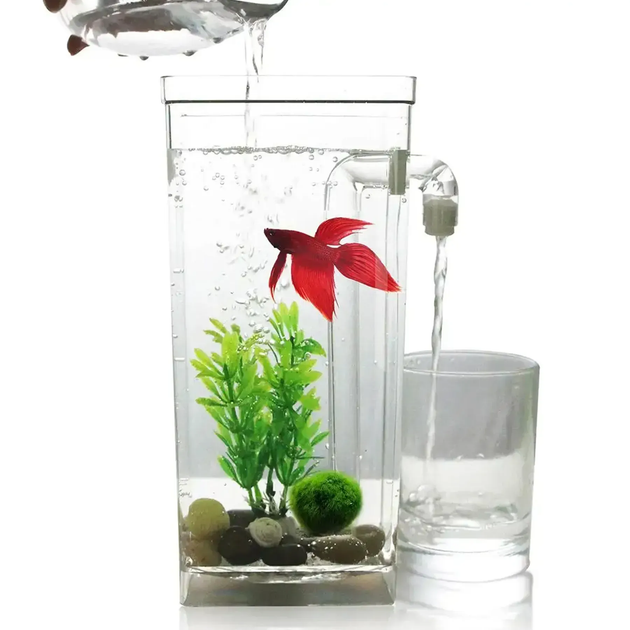 Акваріум самоочисний 2л, з LED підсвічуванням, My Fun Fish (L) - изображение 2
