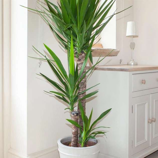 Керамзит Biovita дрібний 4-8 мм, 5 л (60400) - зображення 3